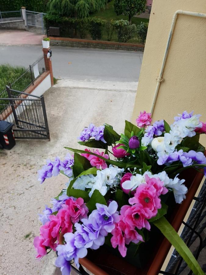 B&B Dolce Casa Panicarola Екстер'єр фото
